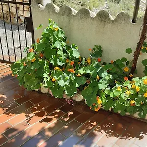 Apartmán Legac, Starigrad (Kvarner)