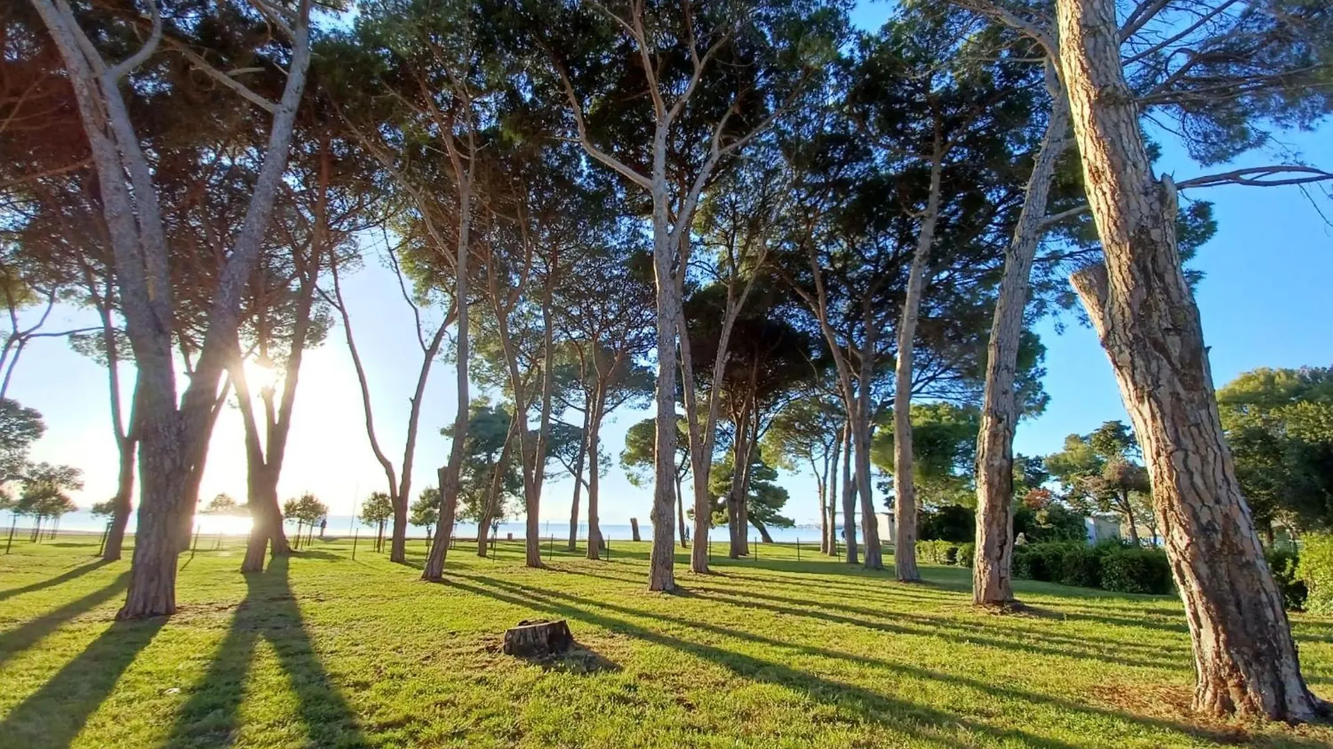 Family Apartments Zadar - Ryanair Exclusive